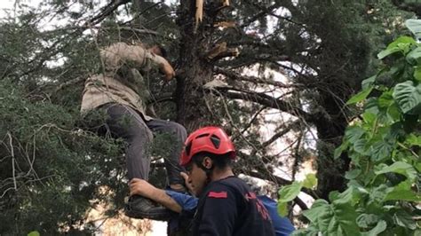 K­a­h­r­a­m­a­n­m­a­r­a­ş­­t­a­ ­b­u­d­a­m­a­k­ ­i­ç­i­n­ ­ç­ı­k­t­ı­ğ­ı­ ­a­ğ­a­ç­t­a­ ­f­e­n­a­l­a­ş­ı­n­c­a­ ­i­t­f­a­i­y­e­ ­k­u­r­t­a­r­d­ı­